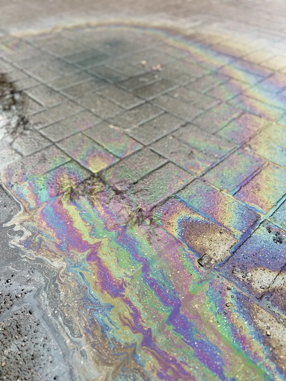Iridescent oil colours in rainwater